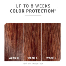 Load image into Gallery viewer, Color Motion+ Color Protection Shampoo 250ml